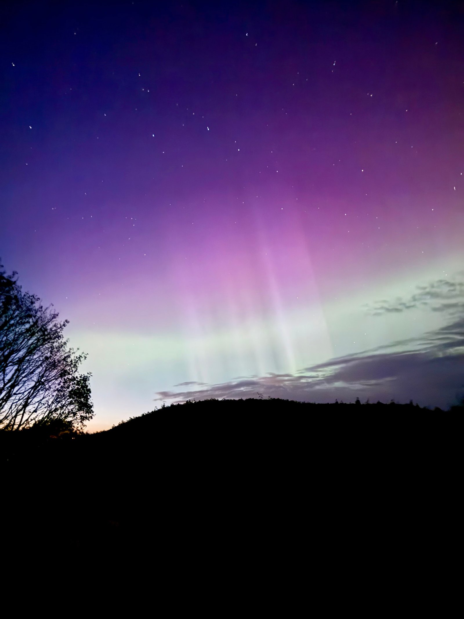 AURORA