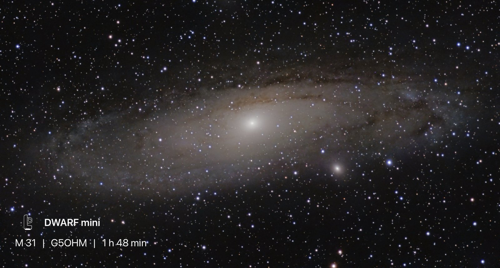 M31