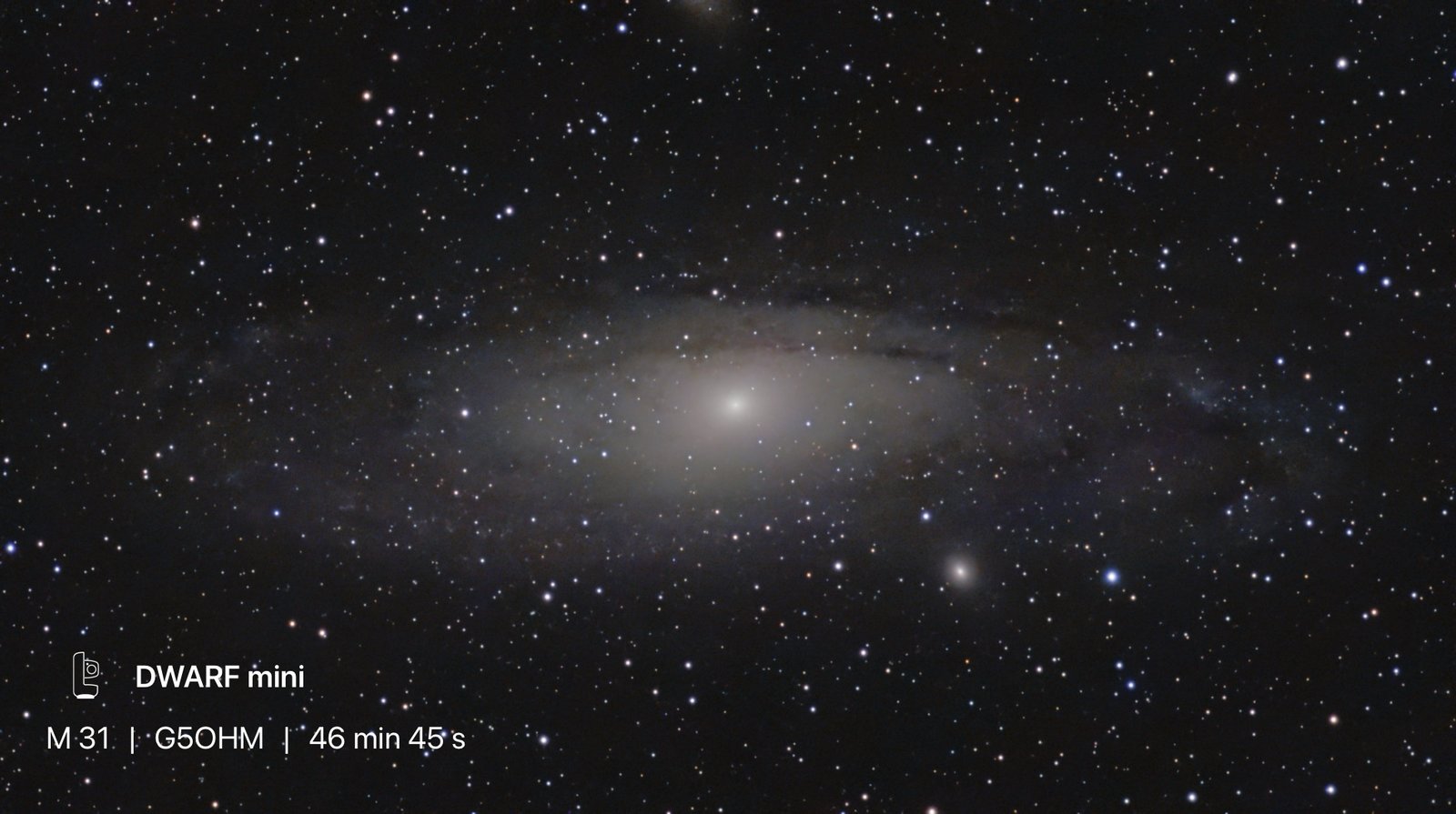 M31