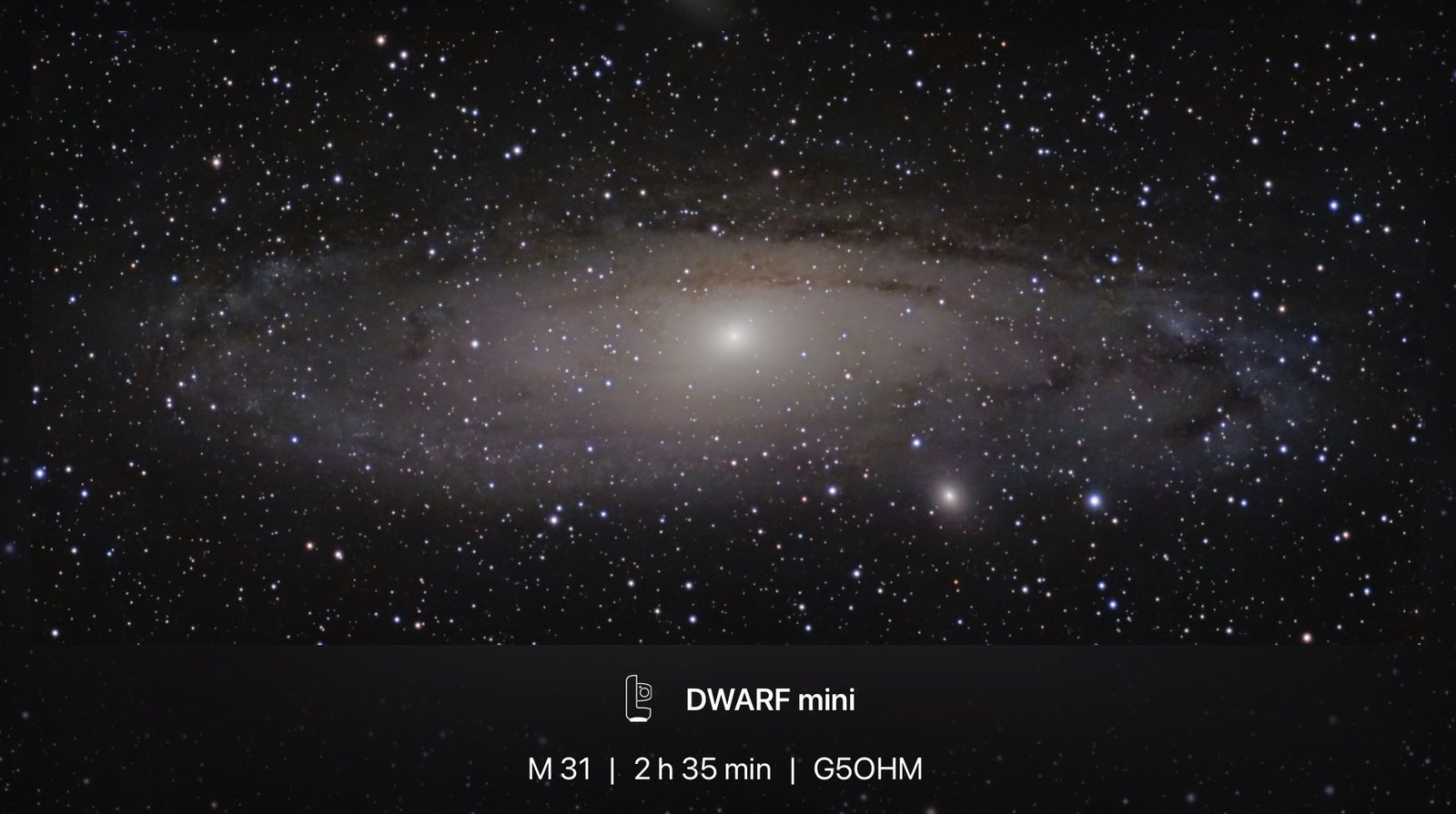 M31